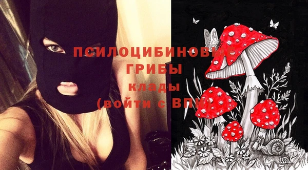 альфа пвп Верхнеуральск