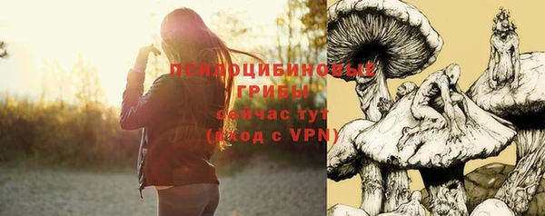гидра Волосово