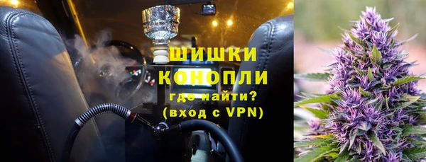 мдпв Верхний Тагил