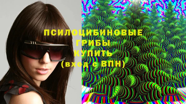 мдпв Верхний Тагил